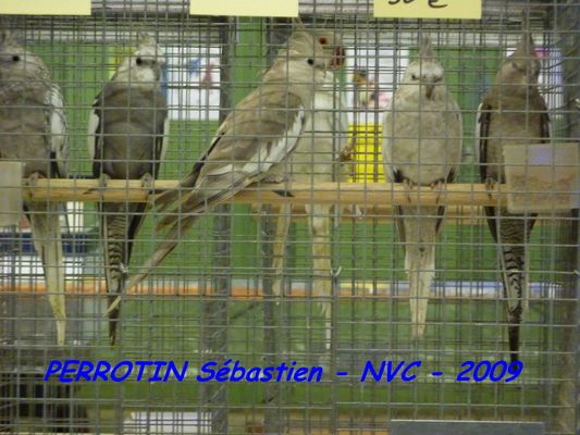 Bourse de Niort 008.JPG