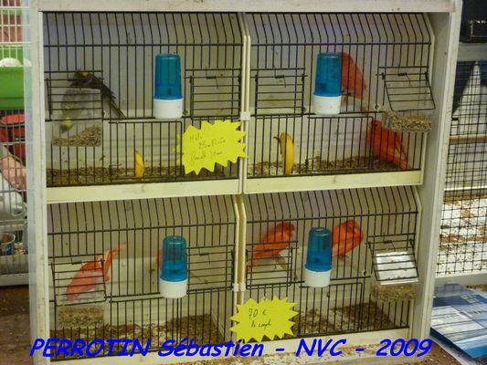 Bourse de Niort 009.JPG