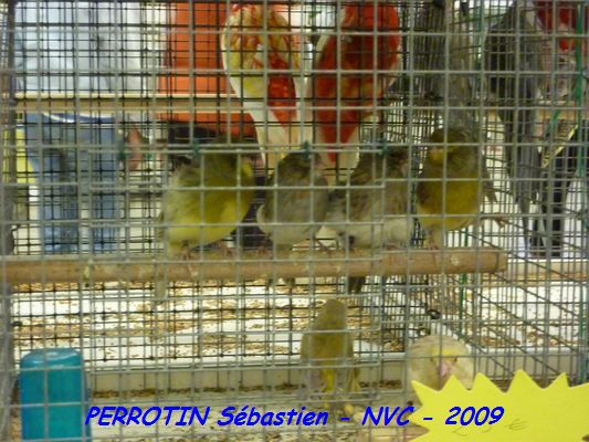 Bourse de Niort 011.JPG