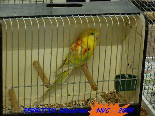 Bourse de Niort 013.JPG