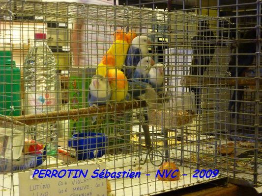 Bourse de Niort 015.JPG