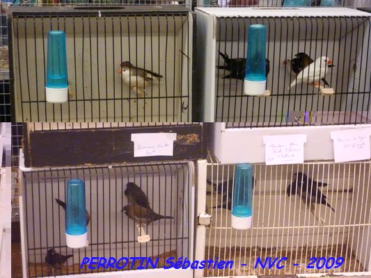 Bourse de Niort 016.JPG