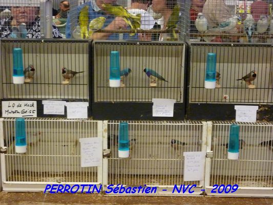 Bourse de Niort 017.JPG