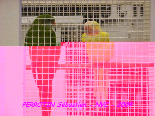 Bourse de Niort 018.JPG