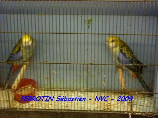 Bourse de Niort 019.JPG