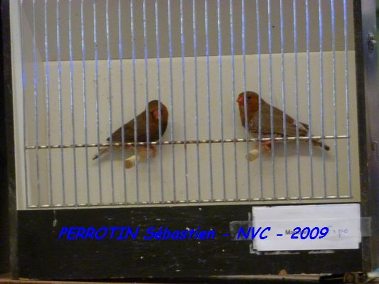 Bourse de Niort 020.JPG