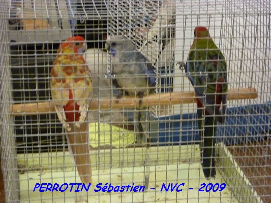 Bourse de Niort 021.JPG