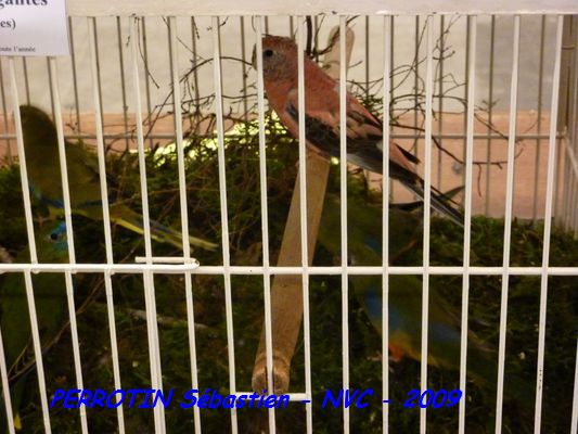 Bourse de Niort 023.JPG