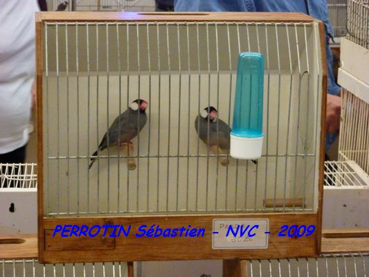 Bourse de Niort 025.JPG