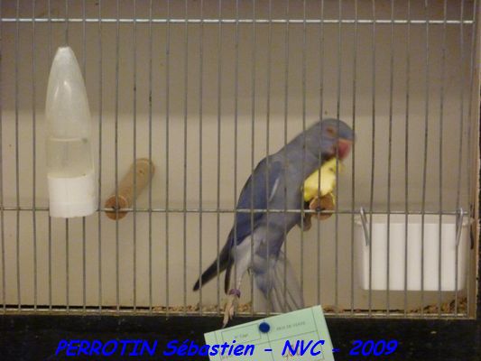 Bourse de Niort 028.JPG