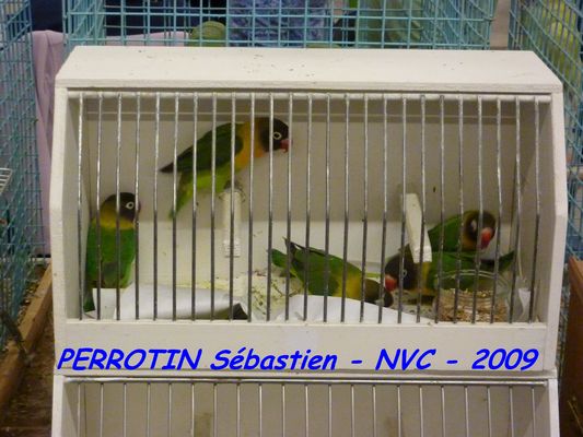 Bourse de Niort 029.JPG