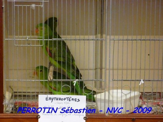 Bourse de Niort 030.JPG