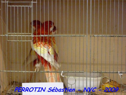 Bourse de Niort 031.JPG