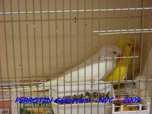 Bourse de Niort 032.JPG