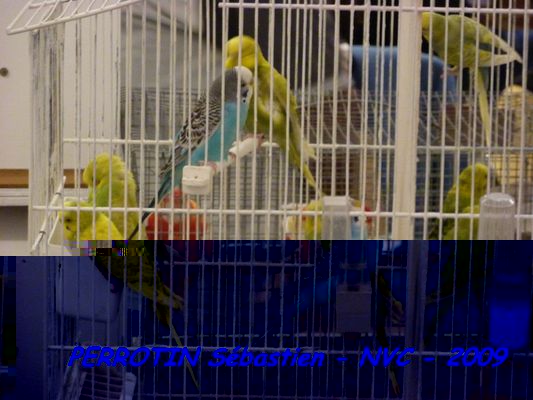 Bourse de Niort 033.JPG