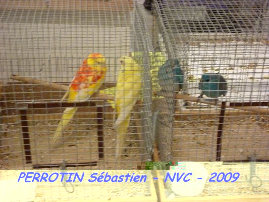 Bourse de Niort 034.JPG