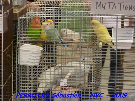 Bourse de Niort 036.JPG