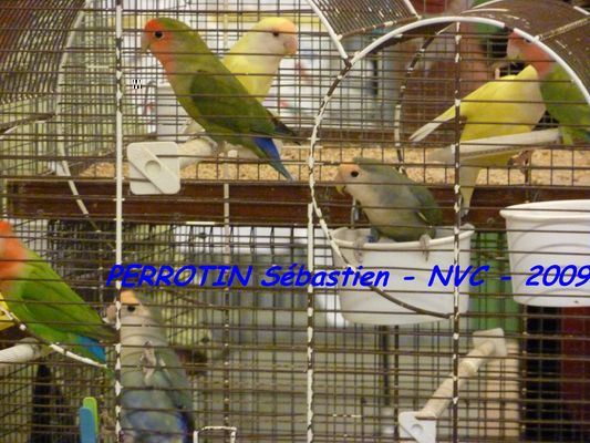 Bourse de Niort 037.JPG