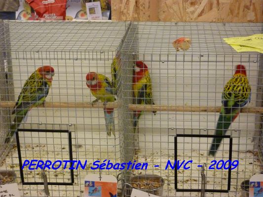 Bourse de Niort 038.JPG