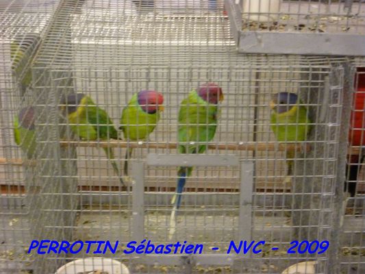 Bourse de Niort 039.JPG