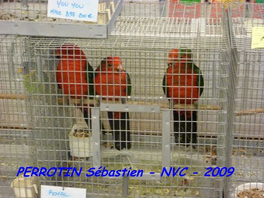 Bourse de Niort 040.JPG