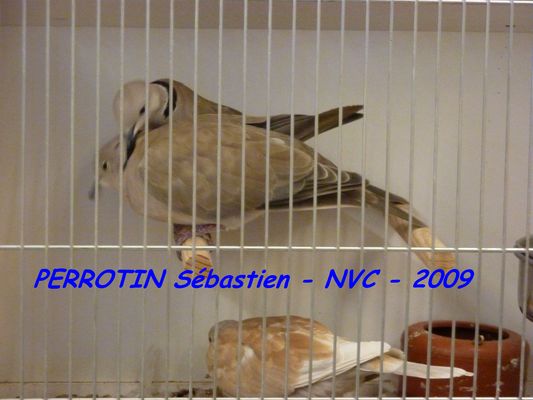 Bourse de Niort 041.JPG