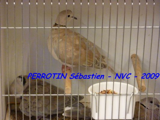 Bourse de Niort 042.JPG