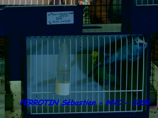 Bourse de Niort 044.JPG