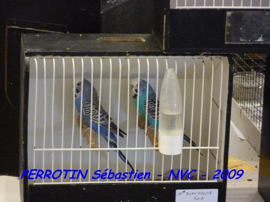 Bourse de Niort 045.JPG