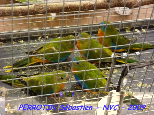 Bourse de Niort 058.JPG