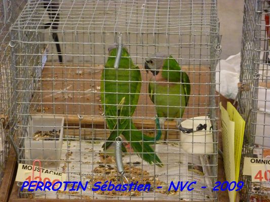 Bourse de Niort 059.JPG