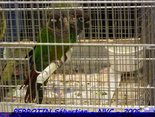 Bourse de Niort 062.JPG