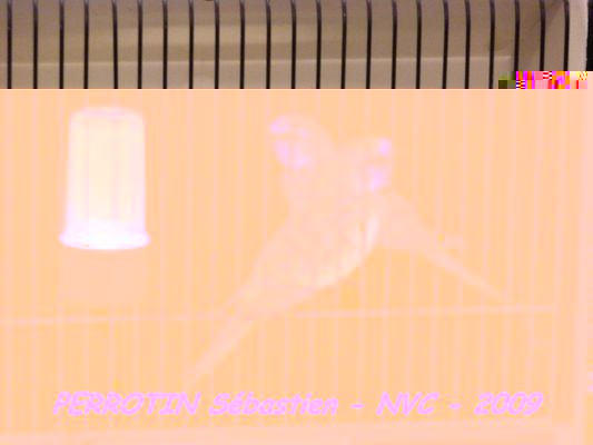 Bourse de Niort 063.JPG