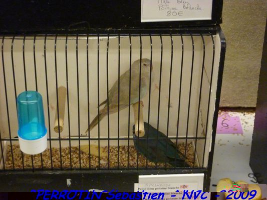 Bourse de Niort 064.JPG