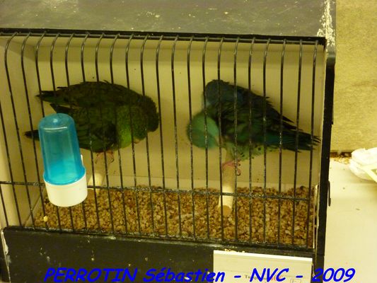 Bourse de Niort 065.JPG