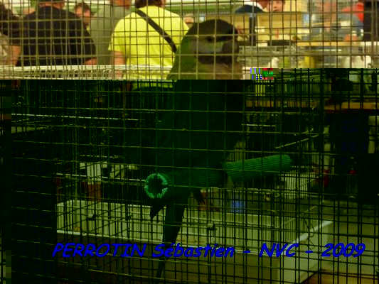 Bourse de Niort 066.JPG