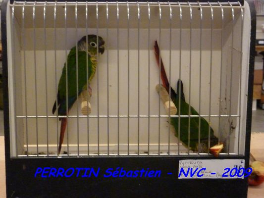 Bourse de Niort 067.JPG