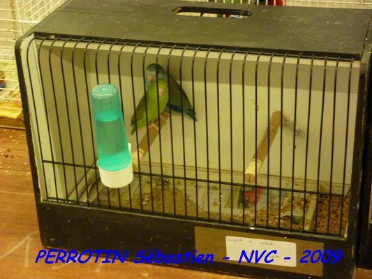 Bourse de Niort 068.JPG