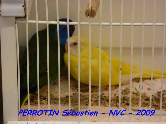 Bourse de Niort 069.JPG