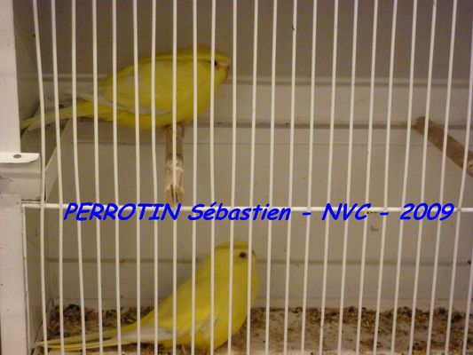 Bourse de Niort 070.JPG