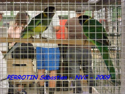 Bourse de Niort 071.JPG