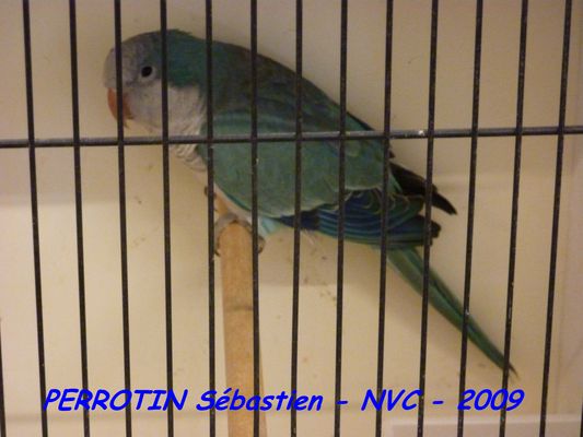 Bourse de Niort 074.JPG