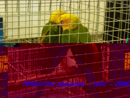 Bourse de Niort 075.JPG