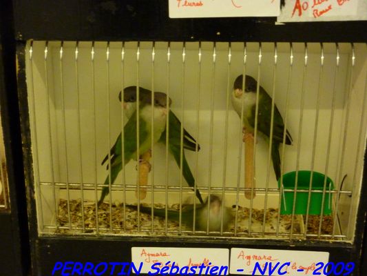 Bourse de Niort 077.JPG