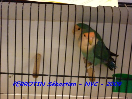 Bourse de Niort 080.JPG