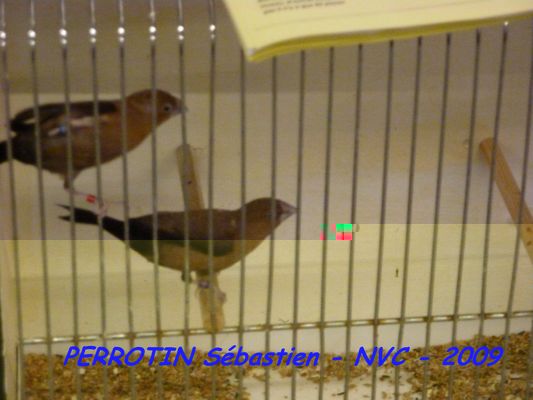 Bourse de Niort 086.JPG