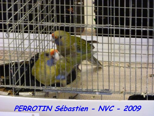 Bourse de Niort 090.JPG