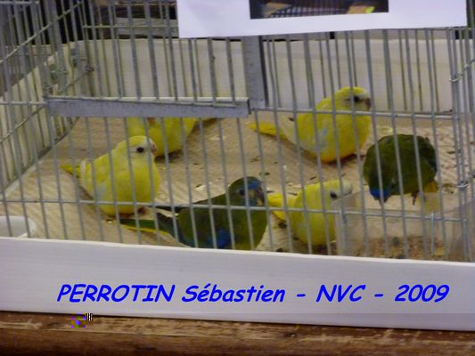 Bourse de Niort 091.JPG