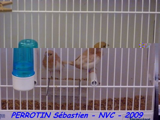 Bourse de Niort 092.JPG