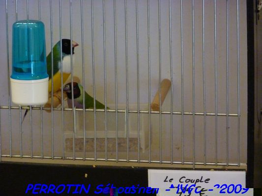 Bourse de Niort 093.JPG